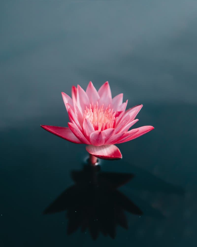 saffu-A7RzCegedb4-unsplash