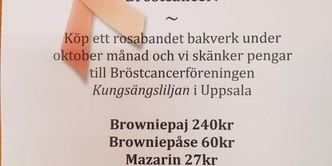 Stöd Bröstcancerföreningen Uppsala ©Triller